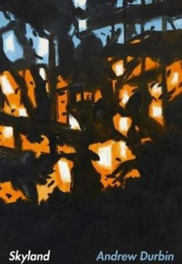 Skyland av Andrew Durbin