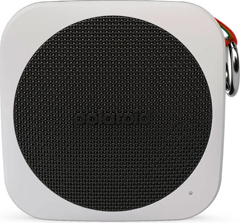 P1 - speaker - for portable use - wireless