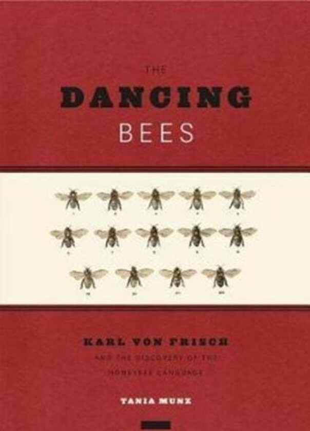 The Dancing Bees av Tania Munz