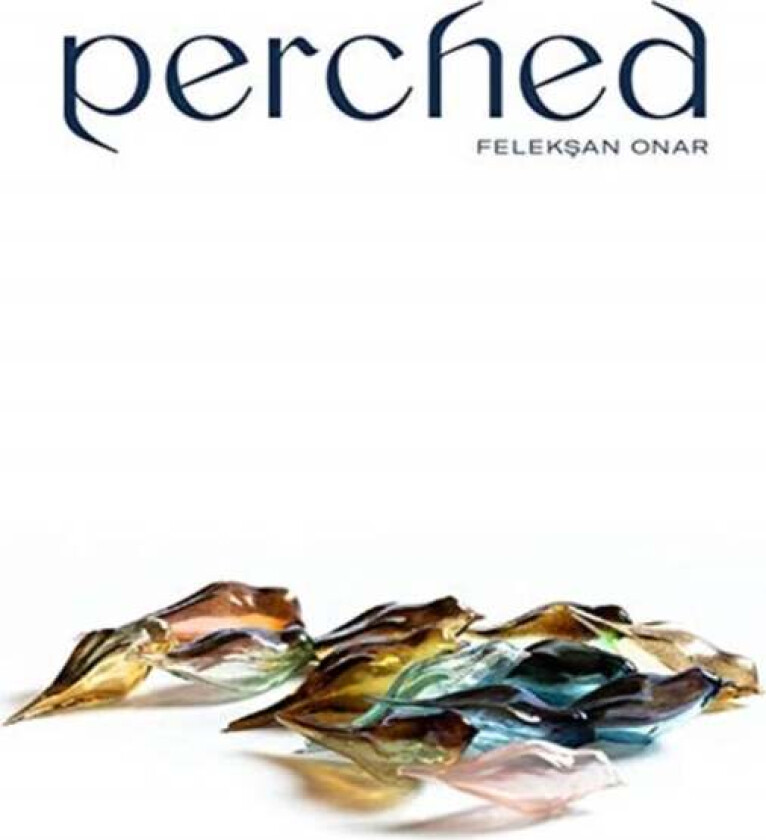 Perched av Stefan Weber, Louis de Bernieres