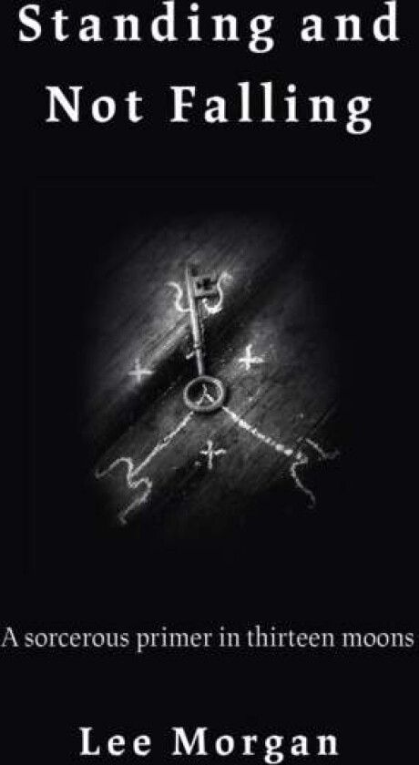 Standing and Not Falling av Lee Morgan