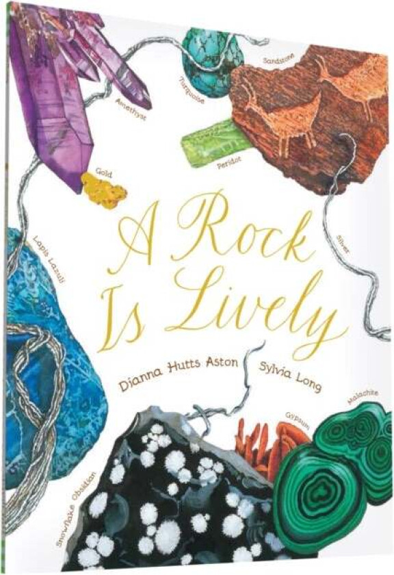 A Rock Is Lively av Dianna Hutts Aston