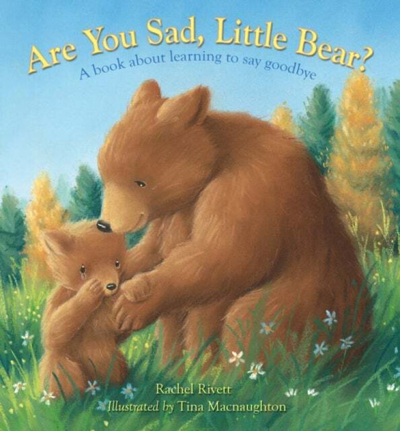 Are You Sad, Little Bear? av Rachel Rivett