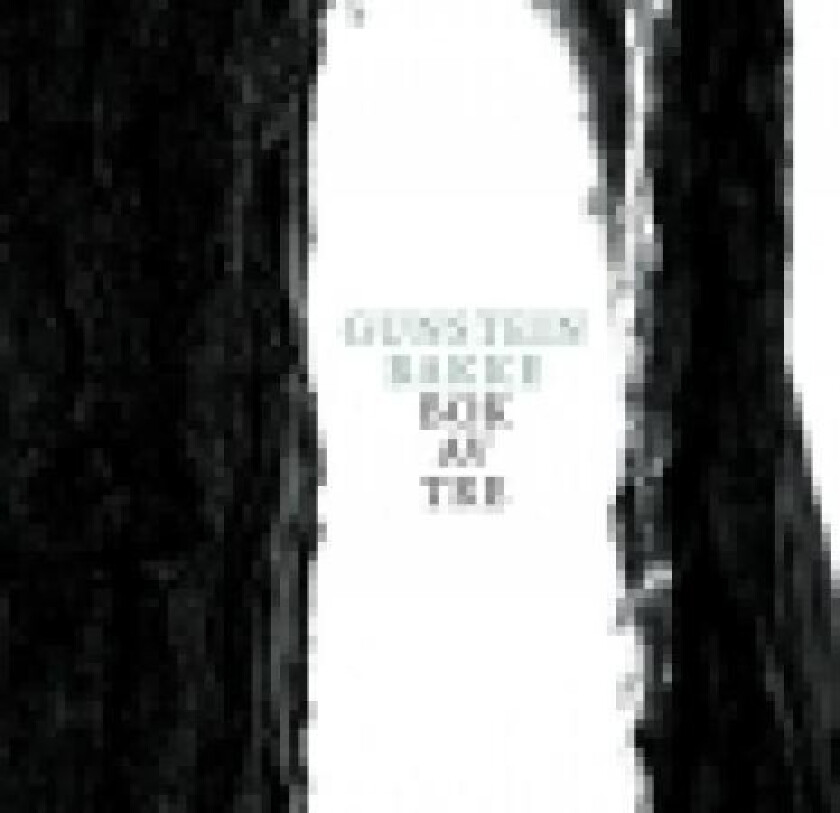 Bok av tre av Gunstein Bakke