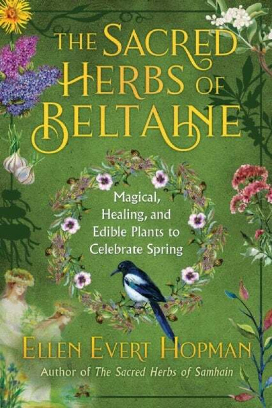 The Sacred Herbs of Spring av Ellen Evert Hopman