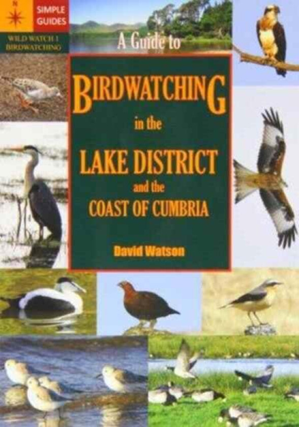 A Guide to Birdwatching in the Lake District and the Coast of Cumbria av David Watson