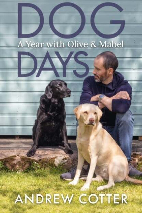 Dog Days av Andrew Cotter