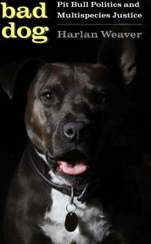 Bad Dog av Harlan Weaver