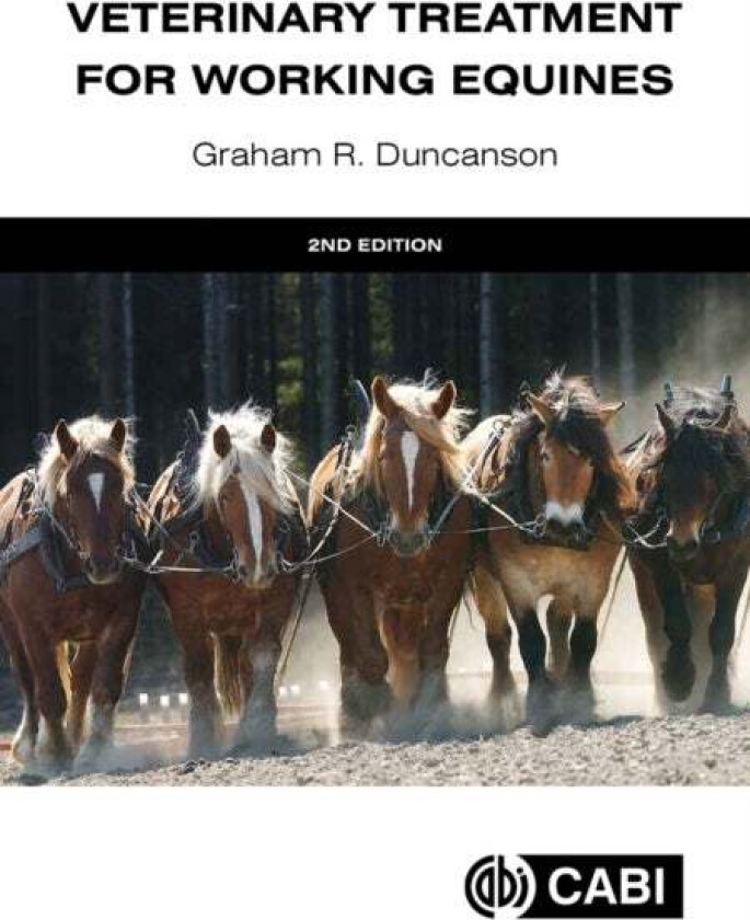 Veterinary Treatment for Working Equines av Dr Graham R (Westover Veterinary Centre UK) Duncanson