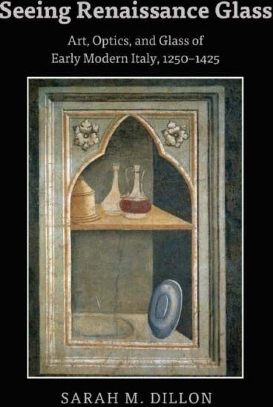 Seeing Renaissance Glass av Sarah Dillon