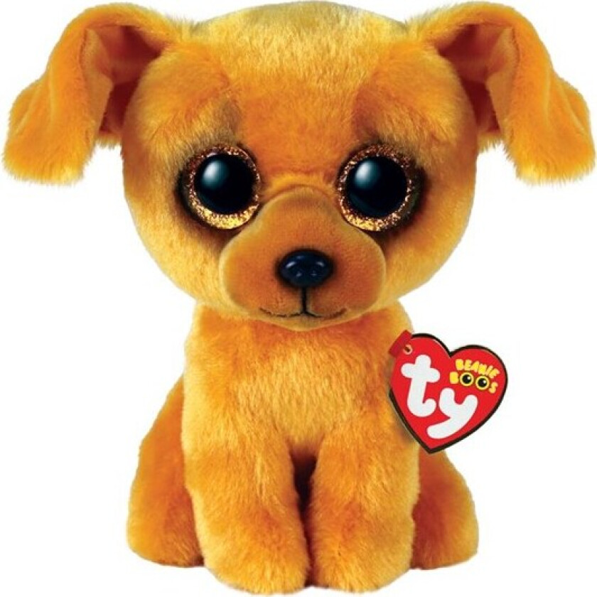 Plush - Beanie Boos - Zuzu The Tan Dog (Regular) (36393)
