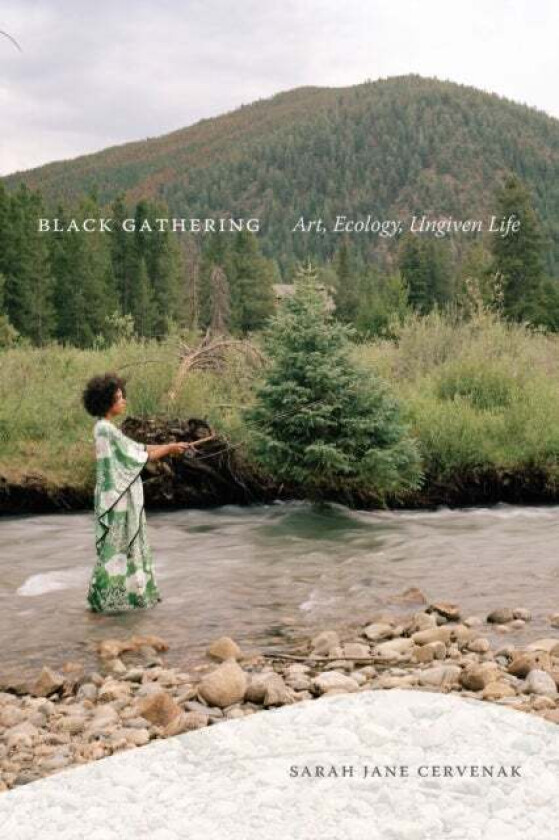 Black Gathering av Sarah Jane Cervenak