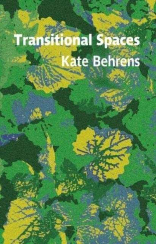 Transitional Spaces av Kate Behrens