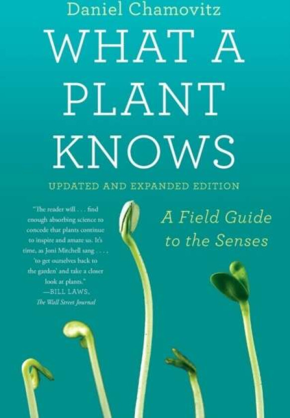 What a Plant Knows av Daniel Chamovitz