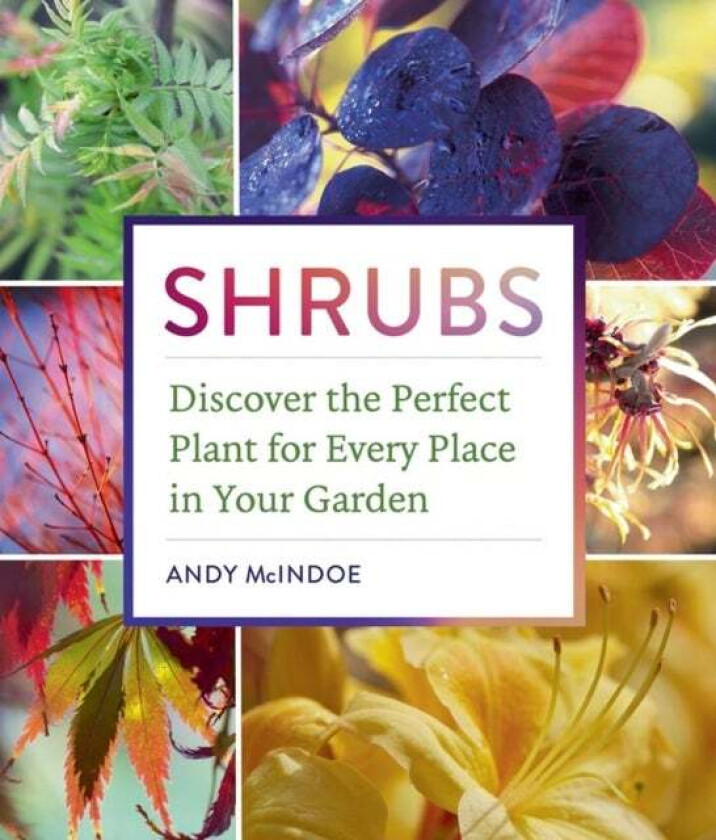 Shrubs av Andy McIndoe