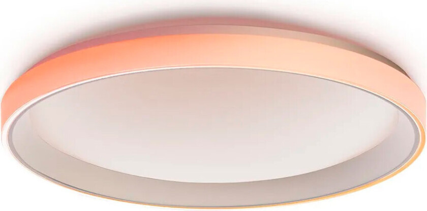 Ceiling Light T1M