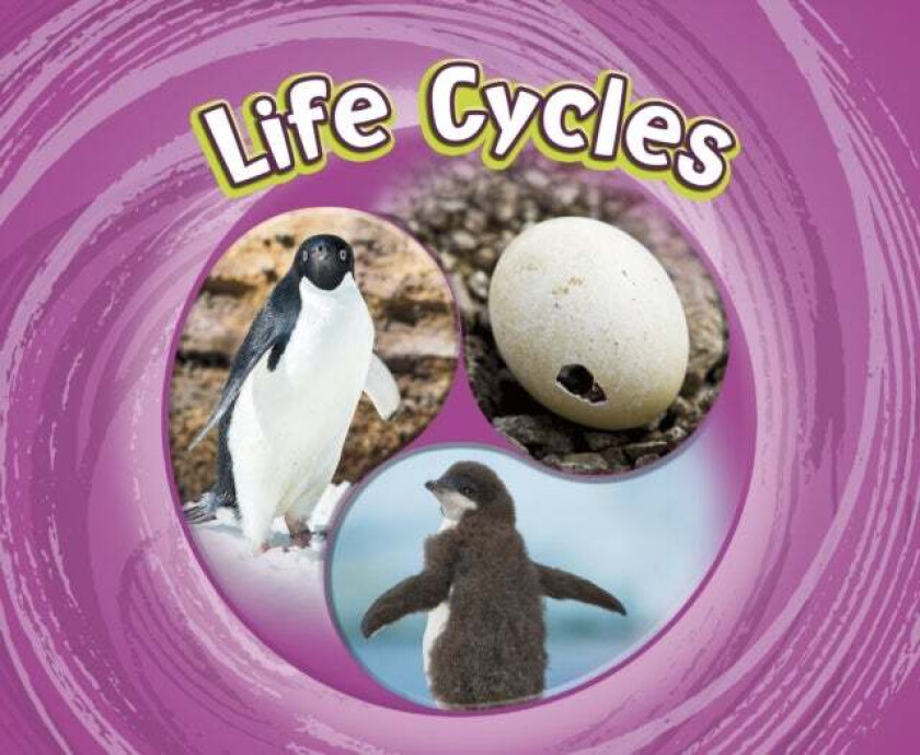 Life Cycles av Jaclyn Jaycox