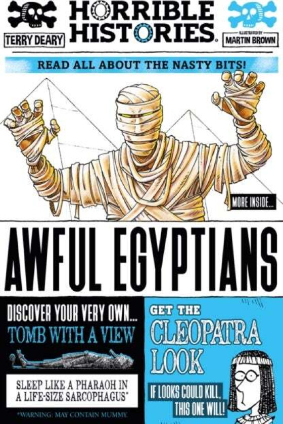 Awful Egyptians av Terry Deary, Martin Brown