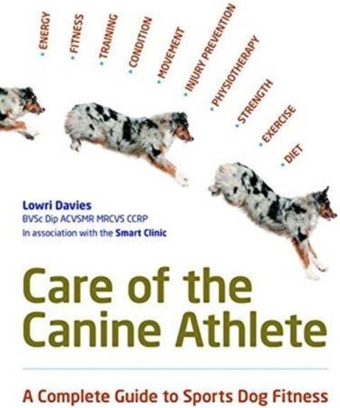 Care Of The Canine Athlete av Lowri Davies