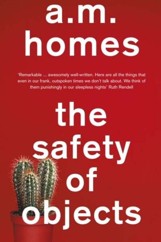 The Safety Of Objects av A.M. (Y) Homes