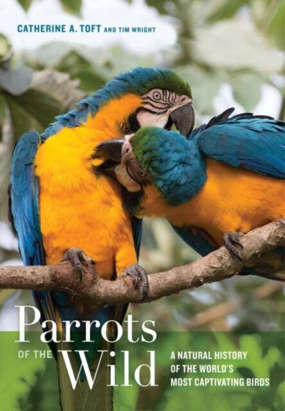 Parrots of the Wild av Catherine A. Toft, Timothy F. Wright