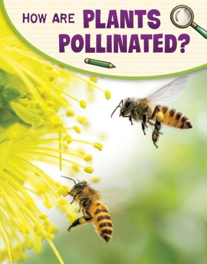 How Are Plants Pollinated? av Emily Raij