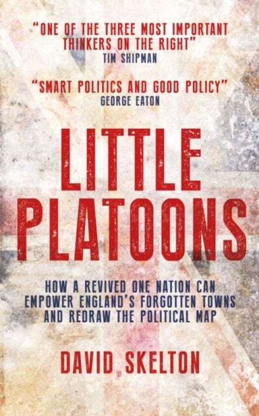 Little Platoons av David Skelton