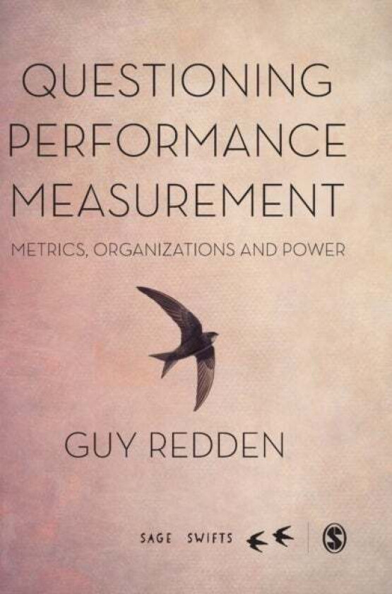 Questioning Performance Measurement: Metrics, Organizations and Power av Guy Redden