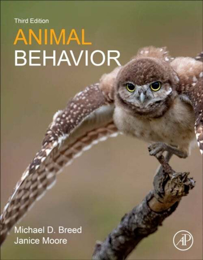 Animal Behavior av Michael D. (Department of Ecology and Evolutionary Biology University of Colorado Boulder CO USA) Breed, Janice (Biology Department