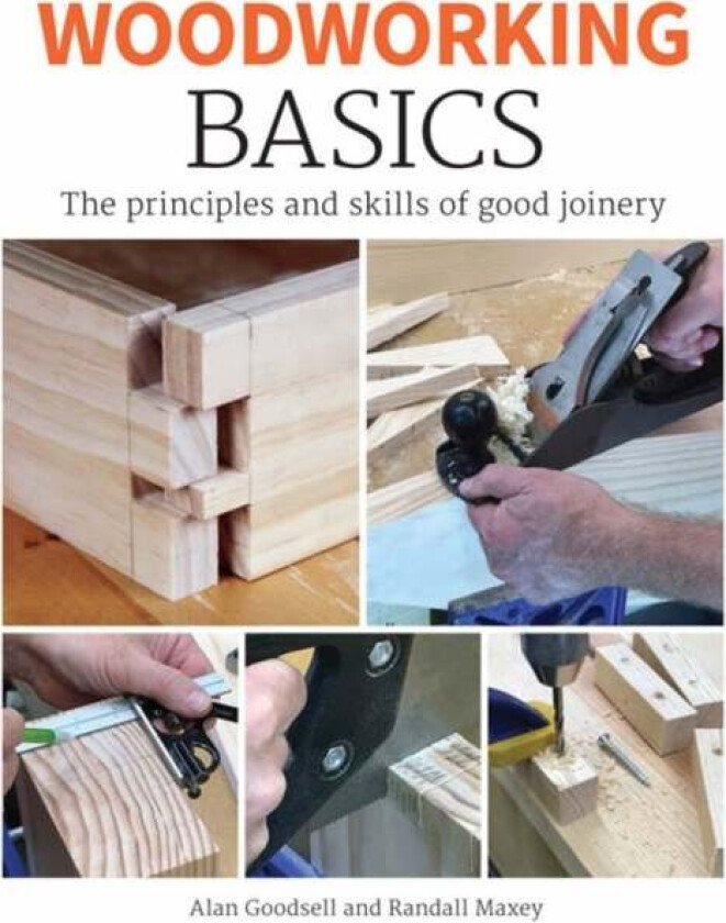 Woodworking Basics av Alan Goodsell