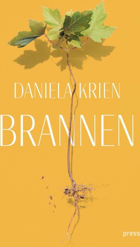Brannen av Daniela Krien