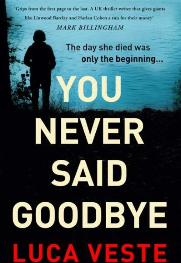 You Never Said Goodbye av Luca Veste
