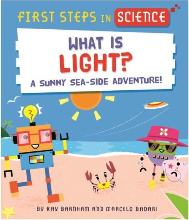 First Steps in Science: What is Light? av Kay Barnham