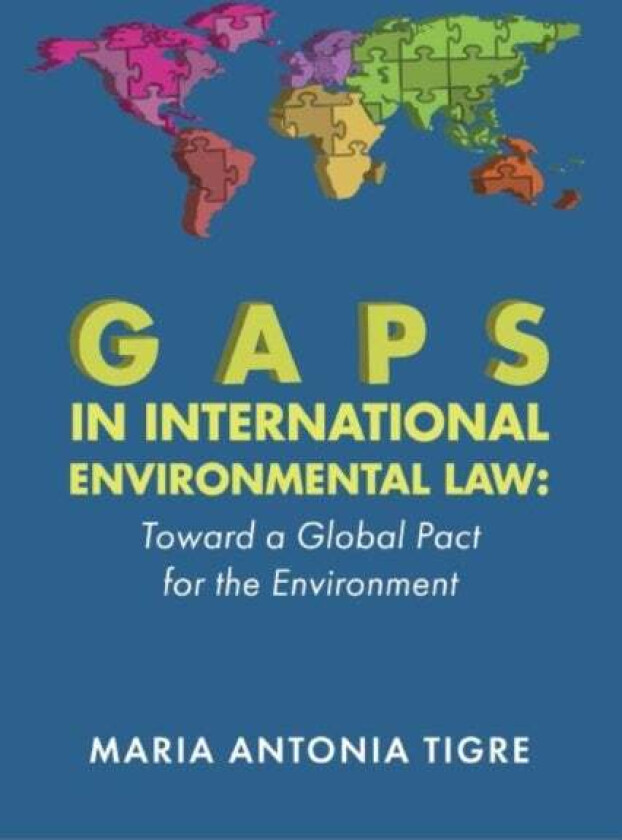 Gaps in International Environmental Law av Maria Antonia Tigre