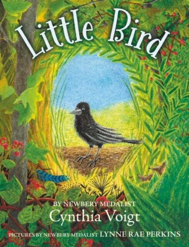 Little Bird av Cynthia Voigt