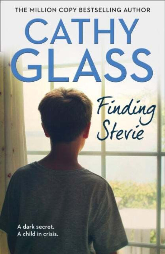 Finding Stevie av Cathy Glass