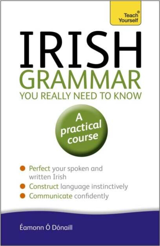 Irish Grammar You Really Need to Know: Teach Yourself av Eamonn O'Donaill