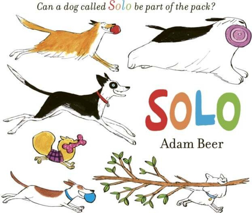 Solo av Adam Beer