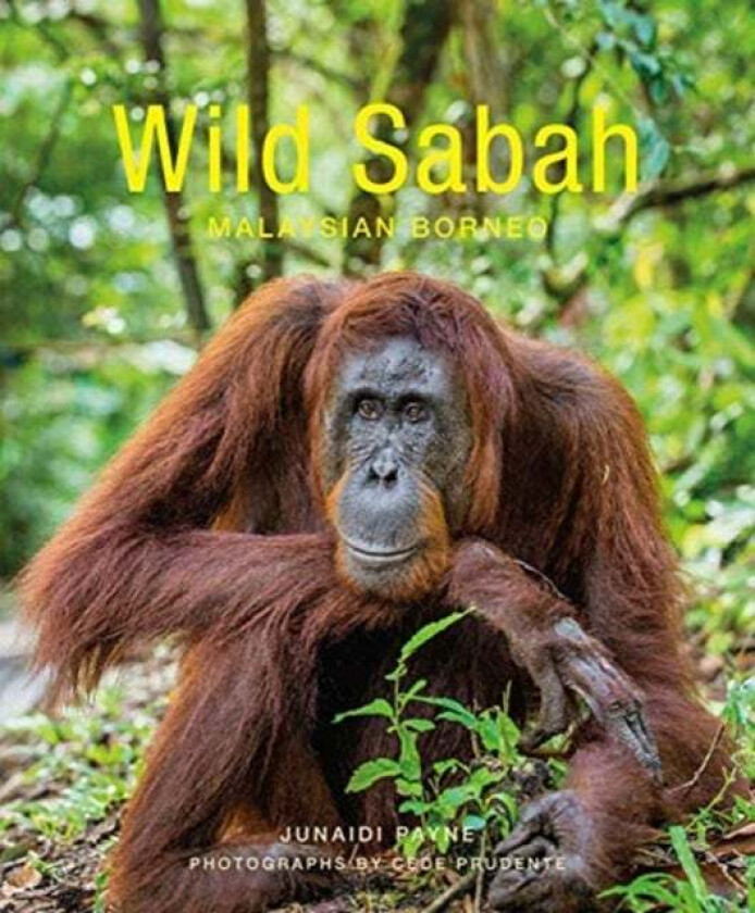 Wild Sabah (2nd edition) av Junaidi Payne