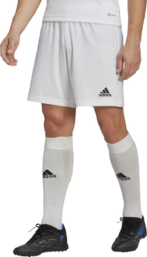 adidas ENT22 Shorts, shorts herre White