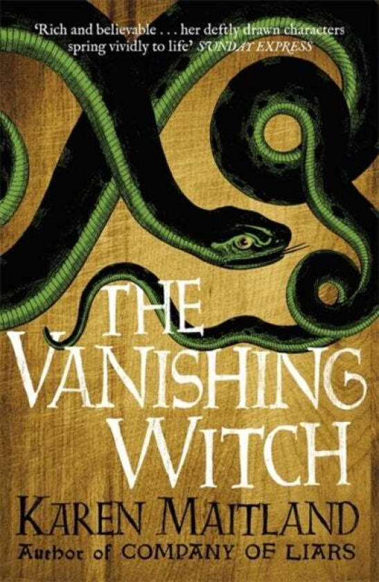 The Vanishing Witch av Karen Maitland