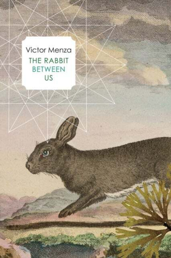 The Rabbit Between Us av Victor Menza