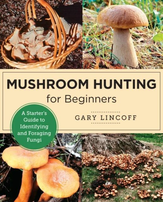 Mushroom Hunting for Beginners av Gary Lincoff