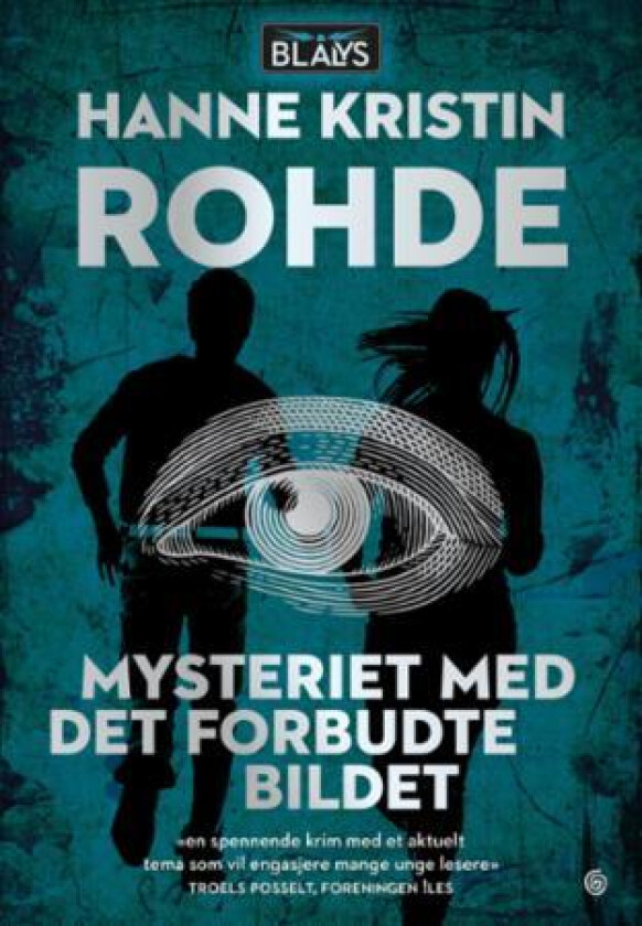 Mysteriet med det forbudte bildet av Hanne Kristin Rohde