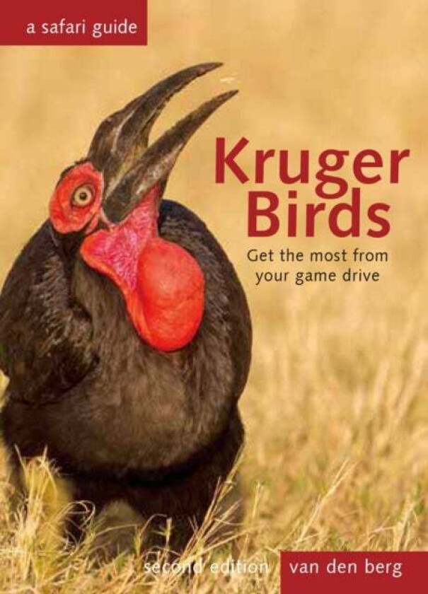 Kruger Birds - Second Edition av Philip van den Berg, Ingrid van den Berg, Heinrich Van Den Berg