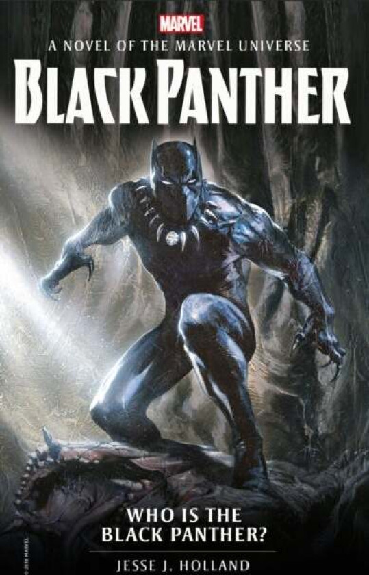 Who is the Black Panther? av Jesse J. Holland