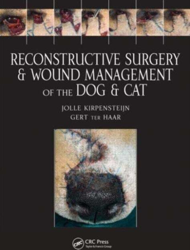 Reconstructive Surgery and Wound Management of the Dog and Cat av Jolle (Hills Pet Nutrition Topeka Kansas USA) Kirpensteijn, Gert ter Haar