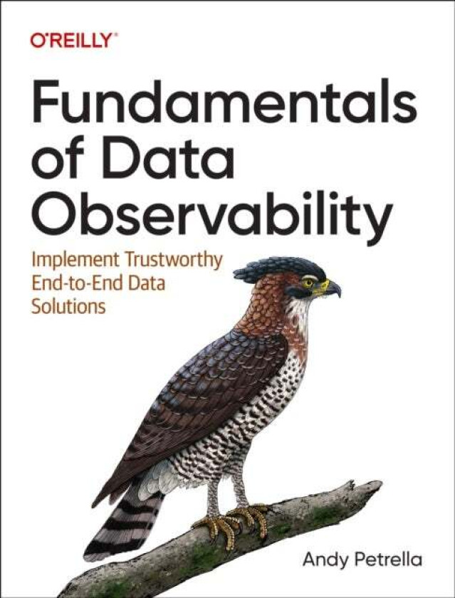 Fundamentals of Data Observability av Andy Petrella