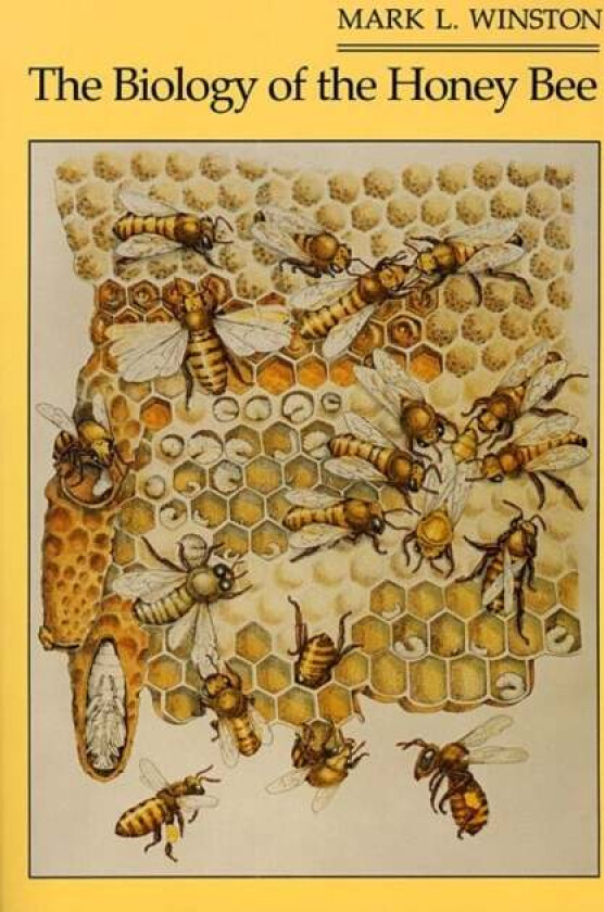 The Biology of the Honey Bee av Mark L. Winston