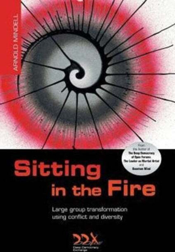 Sitting in the Fire av Arnold PhD Mindell